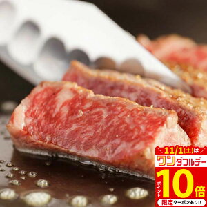 yLINE300~OFFN[|zΕ Mtg ˋ Mtg Vg[uA Xe[L 400g A5 (100g × 4) [] | Mtg j oYj  Ԃ a v[g 