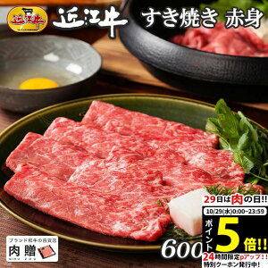 yLINE300~OFFN[|zΕ Mtg ߍ] Mtg Ă Ԑg 600g A5 A4 [] | Ε  a ₫  j oYj j Ԃ Mtg p J^O A