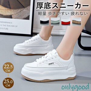 Xj[J[ fB[X X|[cV[Y C V[Y ~ h r r ₷ Ȃ ɂȂ ʋC Vv ʋ ʊw 