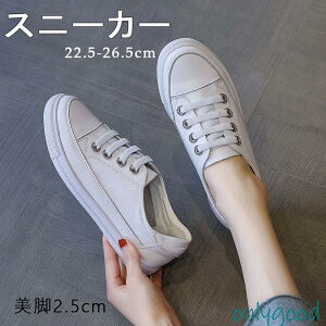 Xj[J[ fB[X @[Jbg ؂ Vv n ꂢ ₷ Xj[J[ fB[X tbg Xj[J[ C p jp  {v 