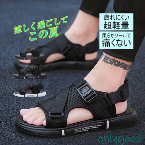 V[Y T_ Y fB[X r[`T_ X|[cT_ ₷ ʋC y ~  ^ C ނ