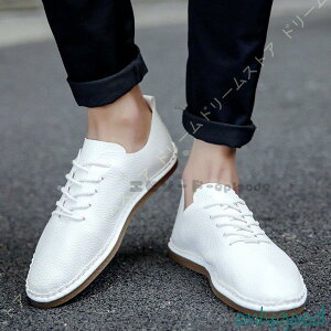 [t@[YhCrOV[YamCyʃ[XAbvJVYV[YʋCJWAV[YCʋ΃fbLV[YrWlX