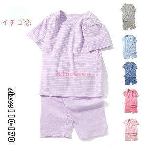 LbY pW} qpW} ZbgAbv ̎q j̎q  Rbg TVc+Y{ XgCv ܕpc  [EFA  jp 