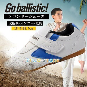 eRh[PC eRh[C ɌV[Y Jt[ eRh[V[Y C p eRh[ C j l q p