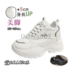 Xj[J[  2023V fB[X C X|[cV[Y ~ r ₷ Ȃ ɂȂ ʋC Vv ʋ ʊw 