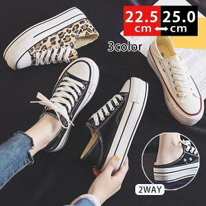 Xj[J[ fB[X LoX [Jbg C Xb| 2WAY tbgV[Y ؂ JWA t ^  ʋΒʊw