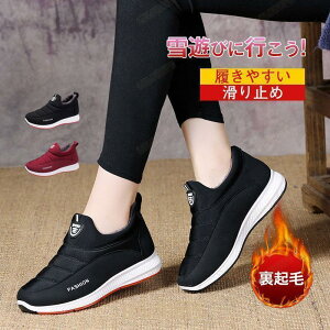 Xm[u[c fB[X [gu[c h ۉ ~ H~  h ~C ₷ }} N