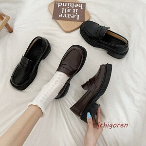 yԌ10OFFz[t@[ fB[X pvX Xb|  vC RC[t@[ q[ Ȃ nCq[ ʋ ʊw  y  5cm