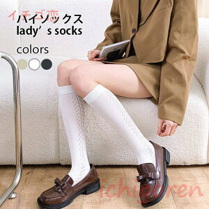 nC\bNX fB[X C O q nC\bNX ҂ \bNX t ʋC vbs[  XN[\bNX JK JC