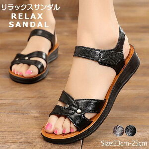 T_ 3.5cm ĐV r q[T_ X|T ₷ C fB[X 傫TCY ₷