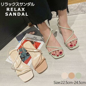 T_ 5cm ĐV r q[T_ X|T ₷ C fB[X 傫TCY ₷ 