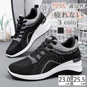 Xj[J[ Xj[J[ fB[X ~ Xj[J[ C _bh V[Y ₷ Ȃ ʊwC ʋC tďH