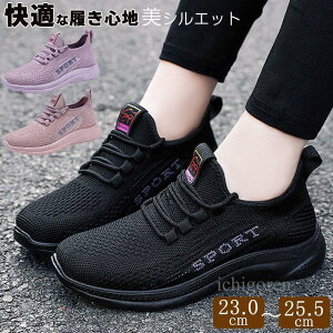 Xj[J[ fB[X ̎q jOV[Y EH[LO W WjA JWA bV AEghA i[XV[Y ʊw C ₷  L