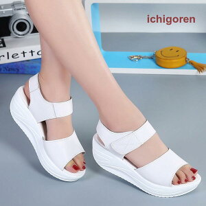 T_ fB[X PUT_ ~[ T}[T_  ₷ ₷ ][g  ăT_ RtH[gT_ JWA C sandal