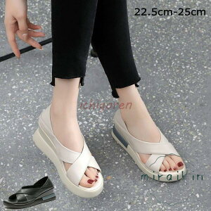 ����T���_�� ���f�B�[�X �y�� �E�F�b�W�\�[�� �~���[���T���_�� �I�[�v���g�D �r������ �C ���l �A�E�g�h�A ������� �J�W���A�� PU ���r �����₷��