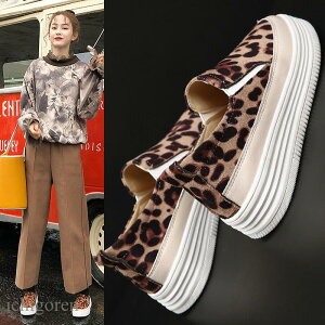 Xj[J[ fB[X Xb| n  q[F4cm [Jbg C ɂȂ ₷ ₷ AEghA ꂢ 