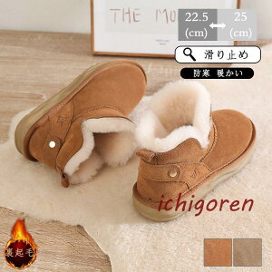 [gu[c fB[X V[gu[c ~ gC t@[V[Y {Au[c  i V[Y h C ~C fB[X