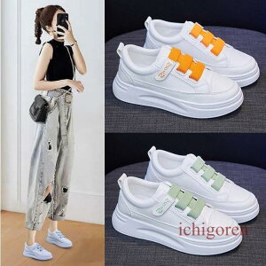 Xj[J[ EH[LOV[Y fB[X V[Y C  y V[Y C h r Ȃ