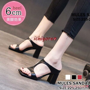 T_ ~[ V[Y fB[X t T{T_ ߃q[ nCq[ T_ OfBG[^[r ₷ ɂȂ C fB[XV[Y