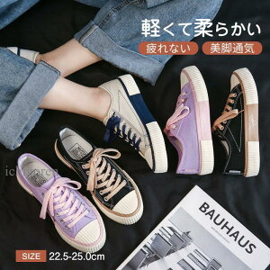 Xj[J[ fB[X EH[LOV[Y C ʋC y ϖ ₷ K w ʊw ʋ s tH ₷ JWA