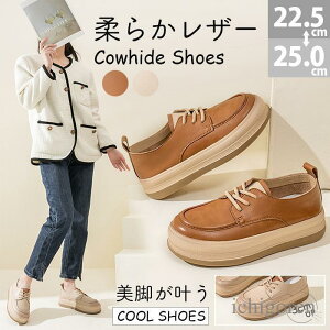 [t@[ fB[X RC[t@[ pvX l wC {v ̎q tH[}C Z [t@[ XN[V[Y C JWA r