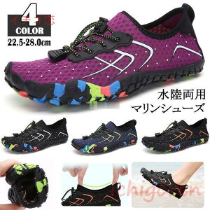 }V[Y ܖ{wC EH[^[V[Y p L ANAV[Y AEghA Y ̌C Y fB[X