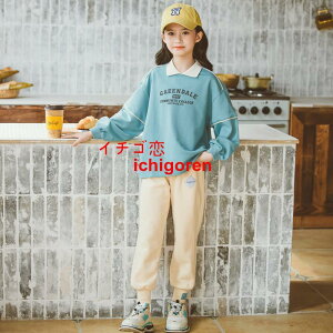 yԌ10OFFz2F W[W LbY ㉺Zbg q ̎q H qW[W  ZbgAbv tVc Opc W[Wpc Y{ X|[c  