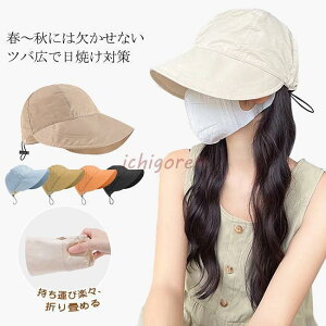 Xq fB[X jp  ܂肽 悯 ^ AEghA ]ԖXq TCY t 