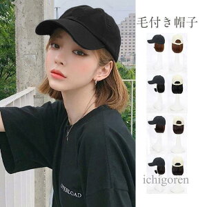 Lbv tXq ѕtXq V[g EBbOtXq ϑ {u ^ pEBbO  ؍ R  C`F