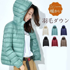 _ER[g fB[X HуR[g _EWPbg t[ht ۉ ~ Vbg AE^[ gy IV LeBO ʋ