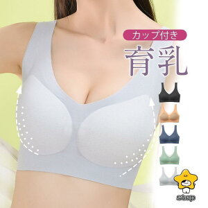 ⊴^Cvo uW[ mC[ iCgu  oXgAbv uW[ 傫TCY  Lk ϋv fB[X mC[e