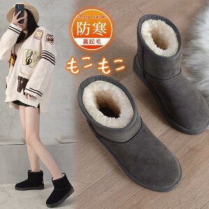 [gu[c fB[X N h g u[c ےg y ₷ JWA  h JWA IV ~