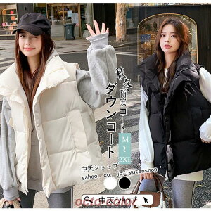 _ExXg fB[X V[g xXg ȃR[g  ^Ngbv m[X[u _EWPbg  JWA ؍ ?2XL S2F H~