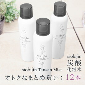 まとめ買い価格-12本/1本当たり1,584円 化粧水 炭酸化粧水 炭酸ミスト 大容量125g/1本当たり TANSAN siobijin MIST 塩美人/しおびじん/シオビジン スプレー お得ケース買い 卸し 業務販売 業務用販売 実店舗販売 美活 あす楽