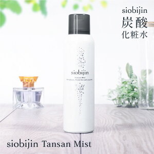炭酸ミストの通販 価格比較 価格 Com