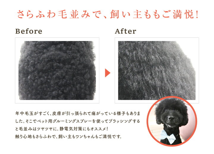 楽天市場】【獣医師監修】 PetcareDr.PRO グルーミング スプレー 300ml 