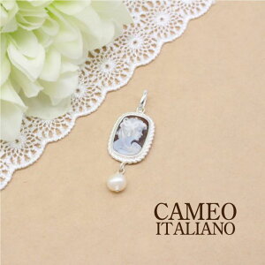Cameo JIC^A[m y_g Wp[ SV Vo[ VFJI  C^A 蒤 JIC^A[mKX lC Mtg NX}X v[g fB[X ޏ  