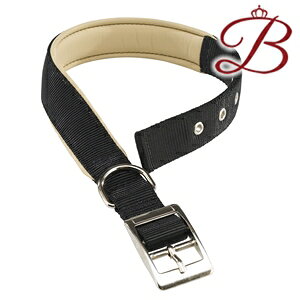 C^AferplastА fCgi DAYTONA C 40/69 ubN   61`69cm