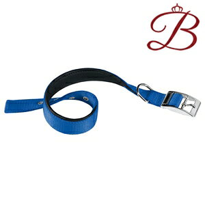 C^AferplastА fCgi DAYTONA C 40/69 u[   61`69cm