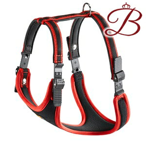 C^AferplastА ERGO COMFORT GSRtH[g n[lX XL bh p 50kg܂ U 