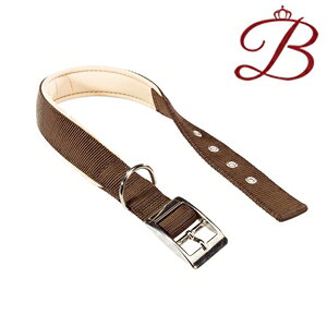 C^AferplastА fCgi DAYTONA C 25/53 uE   4553cm