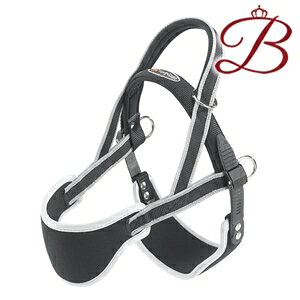 C^AferplastА ERGO COMFORT NORDIC 2 mfBbN 2 p n[lX ^40kg܂ p PK V ⏕