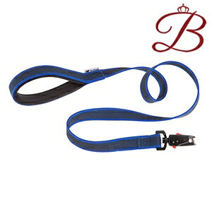 C^AferplastА fCgi K~[ }eBbN DAYTONA GUMMY MATIC [h G25/120 u[  [ Lk [h ۃObY Upi o UObY