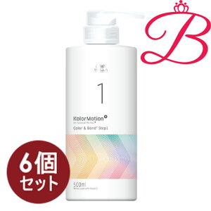 �y6�Z�b�g�z�E�G�� �J���[���[�V����+ �J���[&�{���h STEP1 500ml