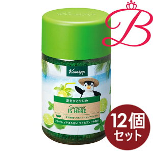 �y12�Z�b�g�z�N�i�C�v �o�X�\���g ���C���~���g�̍��� 850g