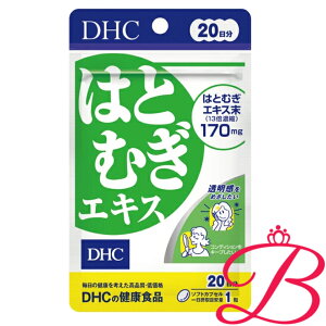 DHC ͂ƂނGLX 20 (20)