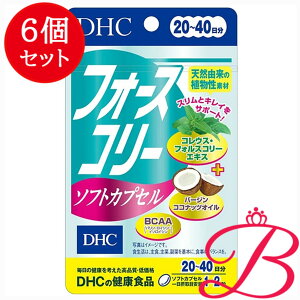 �y×6�zDHC �t�H�[�X�R���[ �\�t�g�J�v�Z�� 40�� (20����)