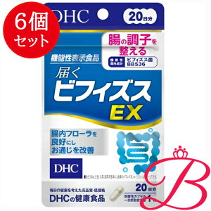 y×6zDHC ͂rtBYXEX 20 (20)