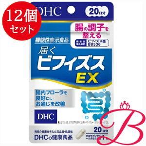 y×12zDHC ͂rtBYXEX 20 (20)