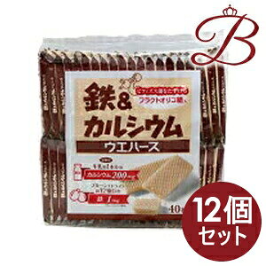 y×12z䓡 SJVEEGn[X 40